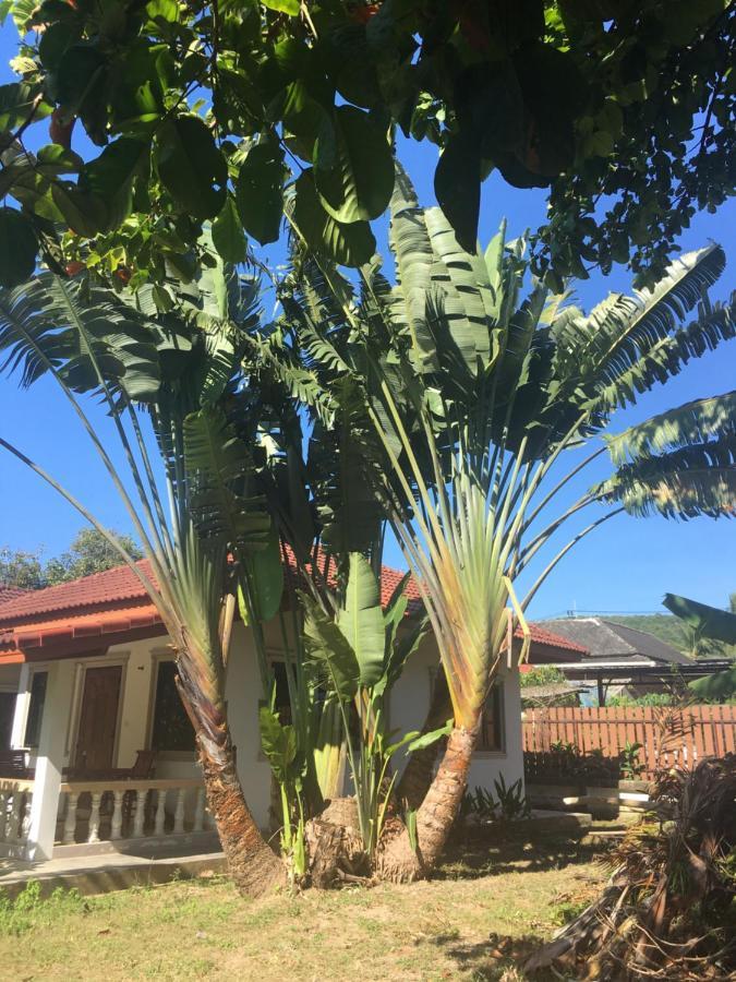 Samui Garden Resort Bang Rak Beach  Eksteriør bilde