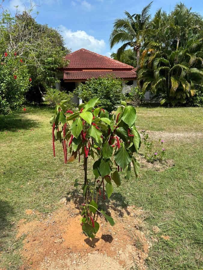Samui Garden Resort Bang Rak Beach  Eksteriør bilde