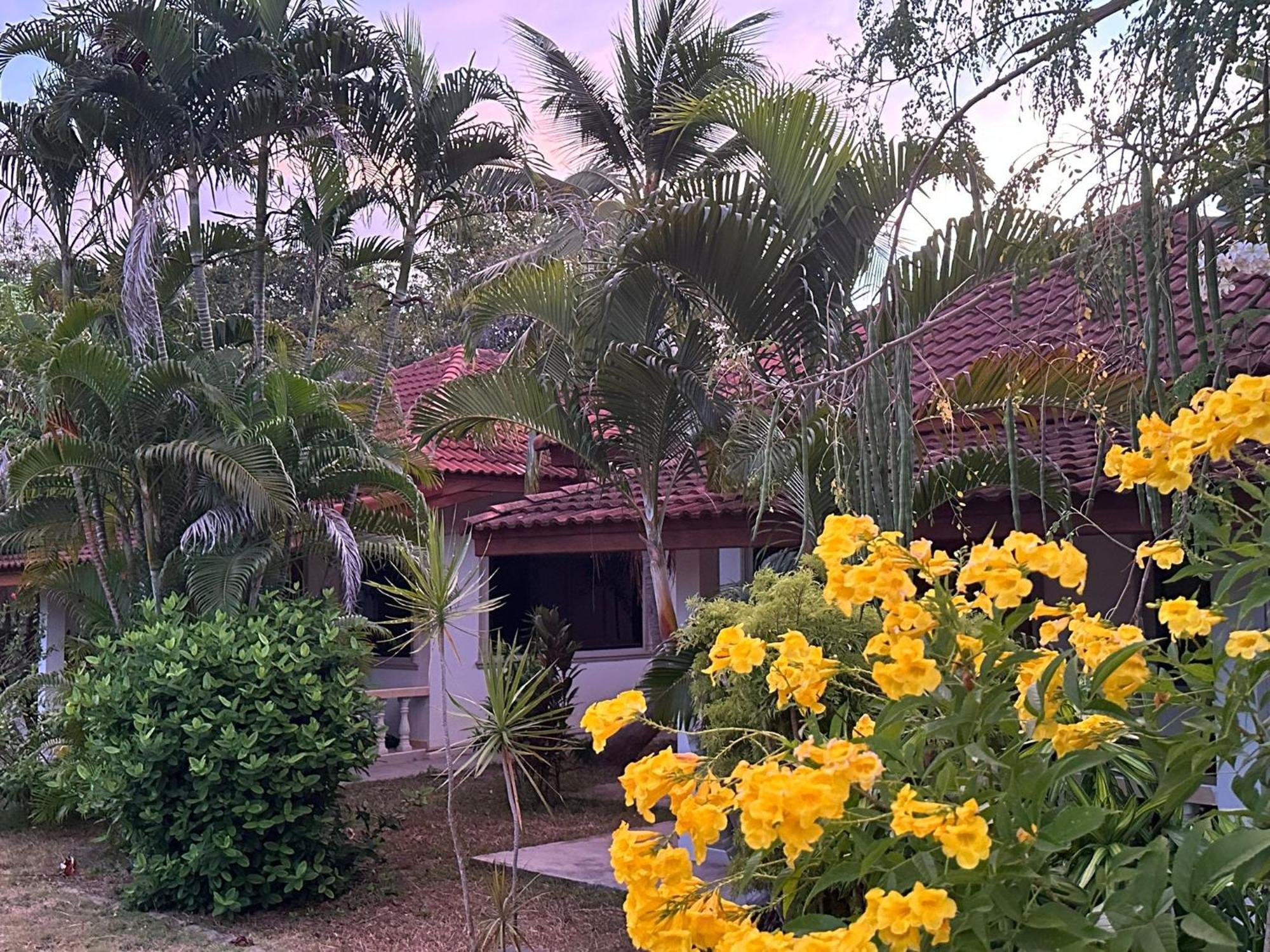 Samui Garden Resort Bang Rak Beach  Eksteriør bilde
