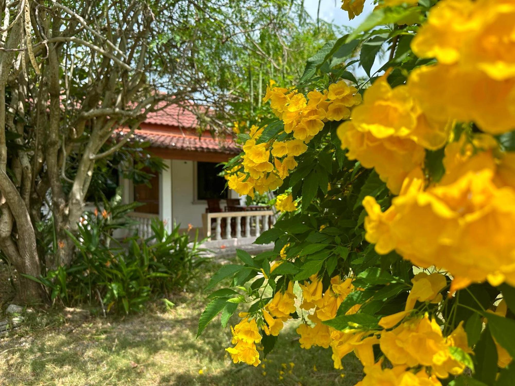 Samui Garden Resort Bang Rak Beach  Eksteriør bilde