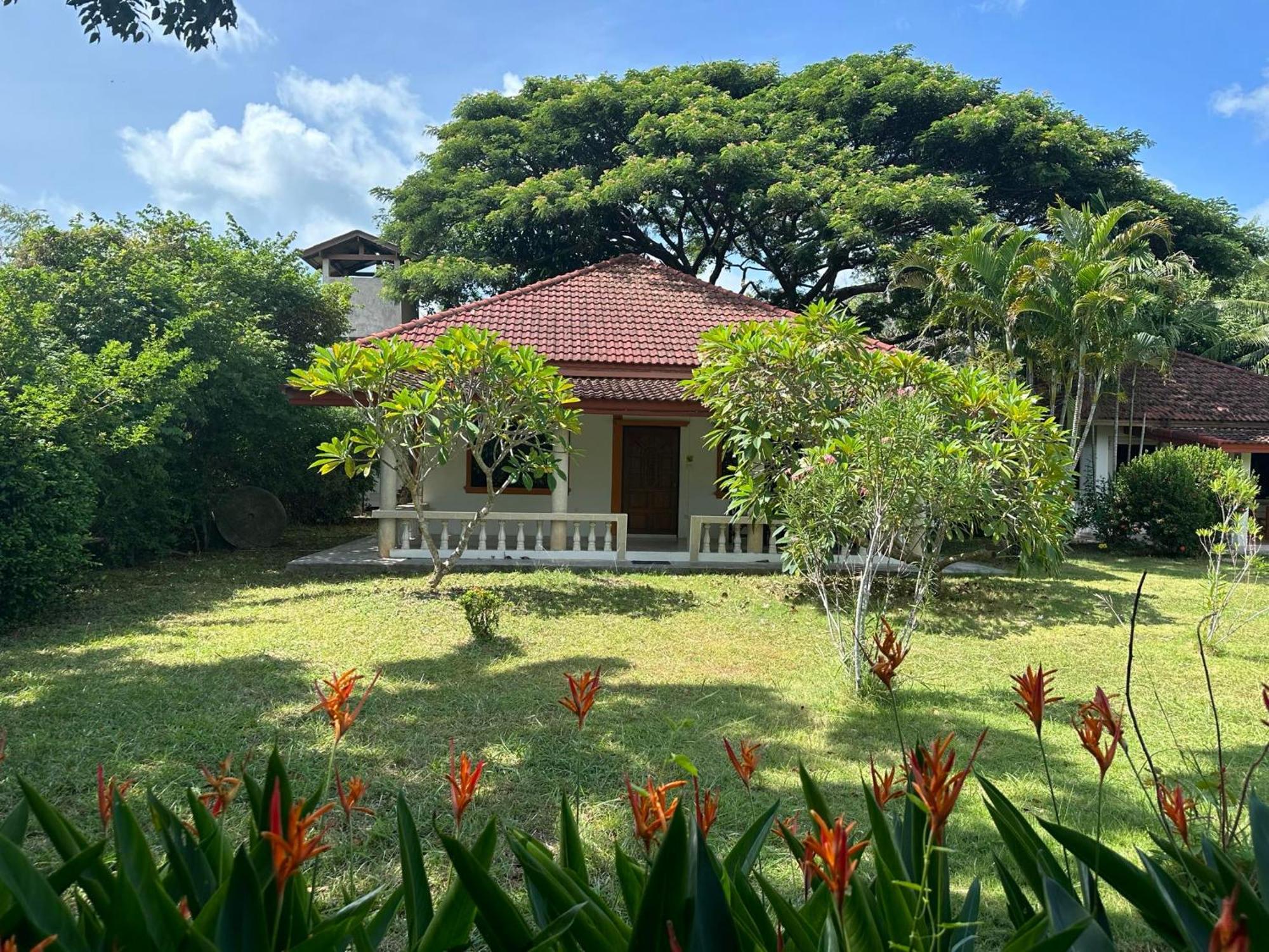 Samui Garden Resort Bang Rak Beach  Eksteriør bilde